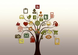 social media for small businesses