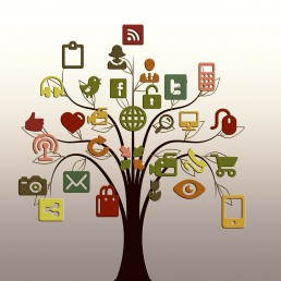 social media for small businesses