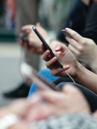 people looking at their phones