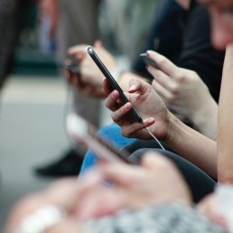 people looking at their phones